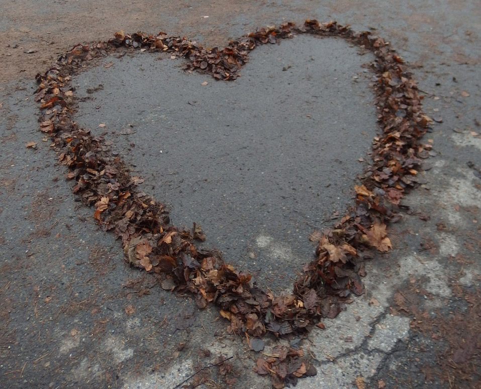 løvhjerte på bakken